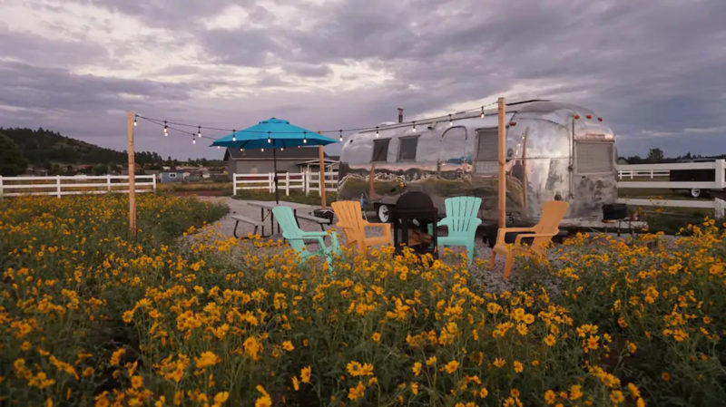 Retro travel trailer parked among daisy flowers