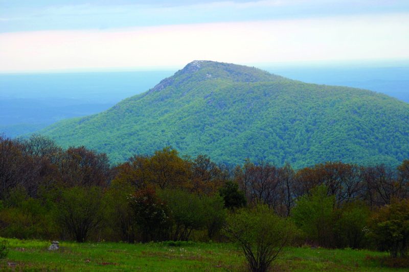 Silhouette of Old Rag Mountain in Virginia covered in lush green trees