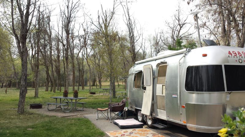 An Airstream parked in a wooded campground
