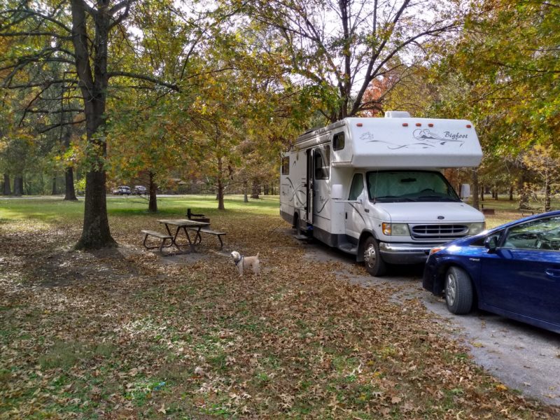 RV and car parked at a campsite in a state park surrounded by trees.