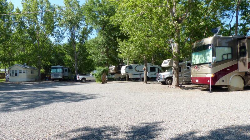 Multiple RVs parked at a campground in Colorado