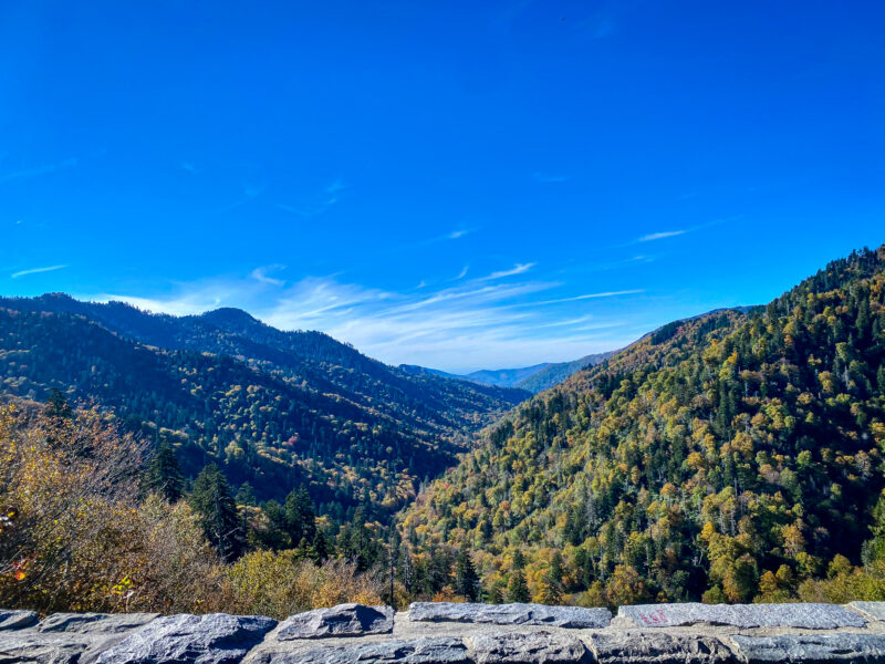 Overlook at mountains with light fall foliage