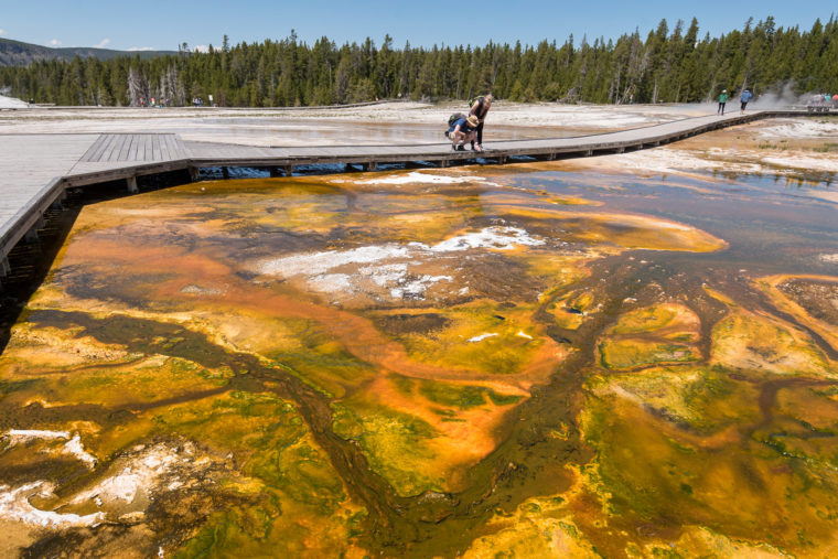 Celebrating 150 Years of Yellowstone, the First National Park in the U.S.