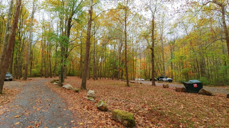 Campground loop covered in fallen leaves