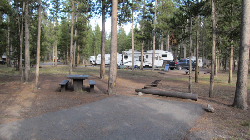 RVs parked in a wooded area of a campground near Yellowstone National Park