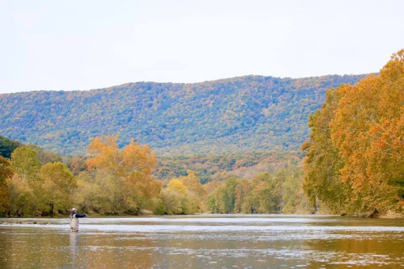 A man fly fishing on the Shenandoah River State Park.
