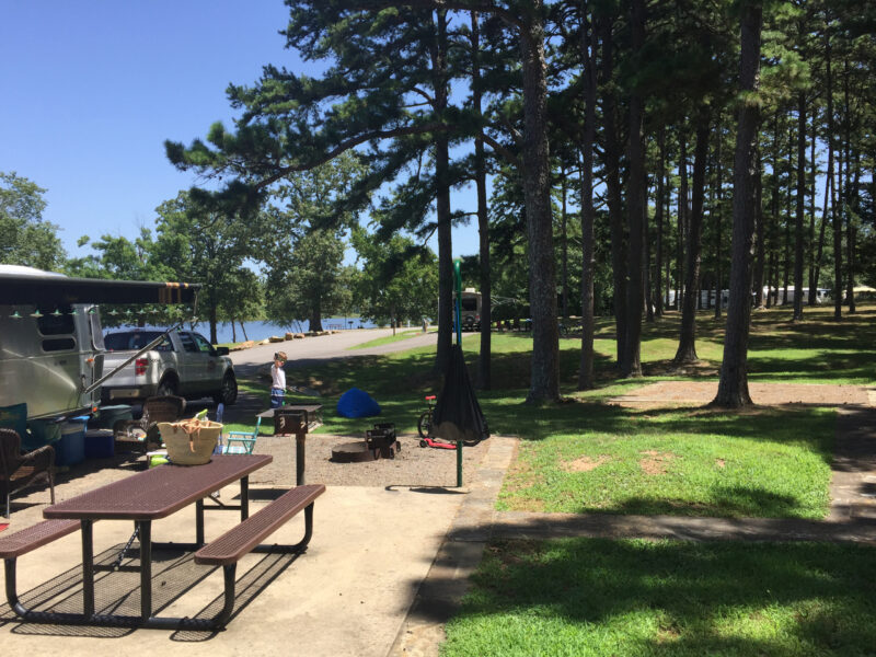 a campsite with a picnic table next to the water surrounded by pine trees