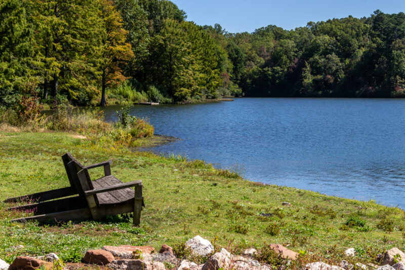 a chair sits by a body of water surrounded by greenery