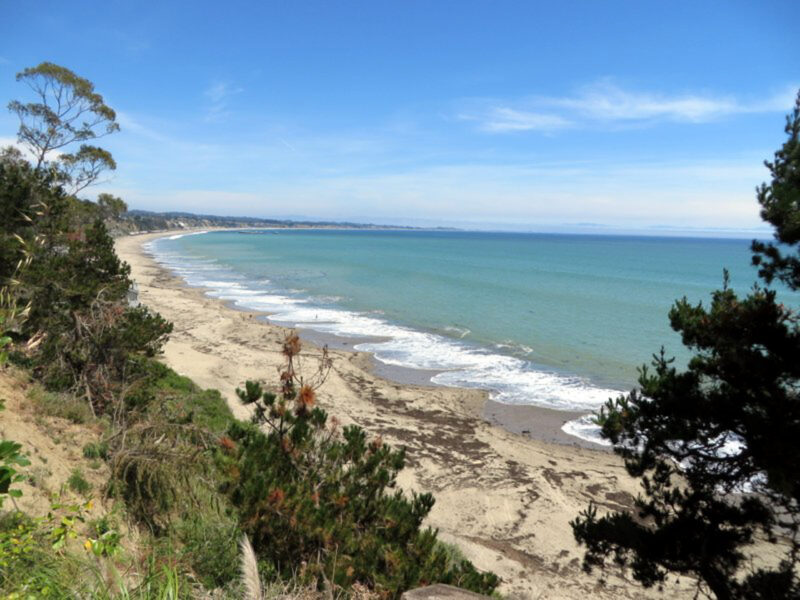 a curving beach coastline with sand and trees against a blue sky