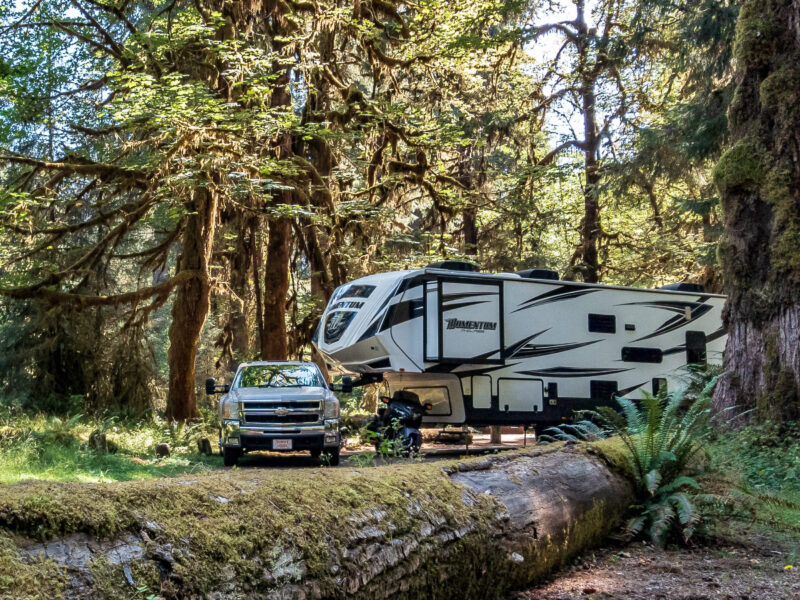 a truck and rv are parked at a wooded campsite surrounded by mossy green trees