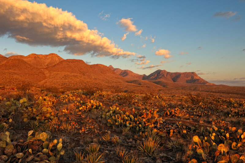 Desert mountains at sunrise