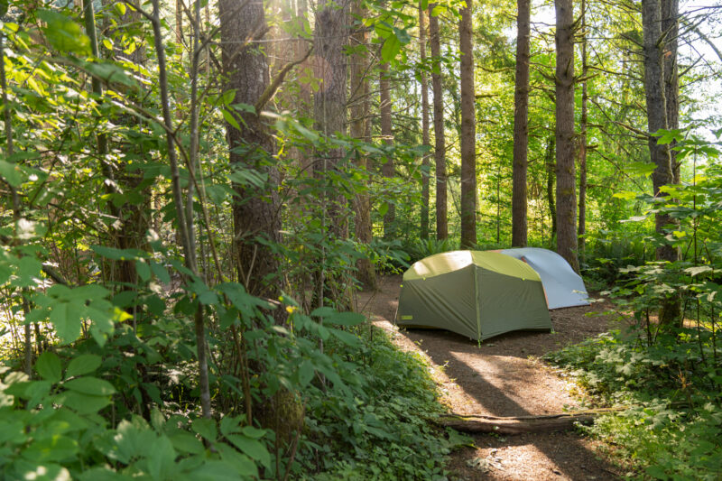 a green and a white tent are pitched in the woods