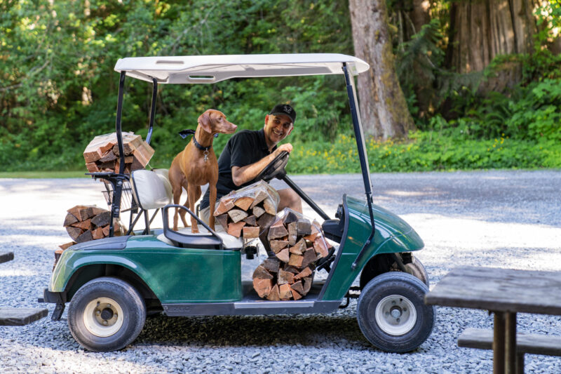 a man and a dog in a green golf cart full of firewood