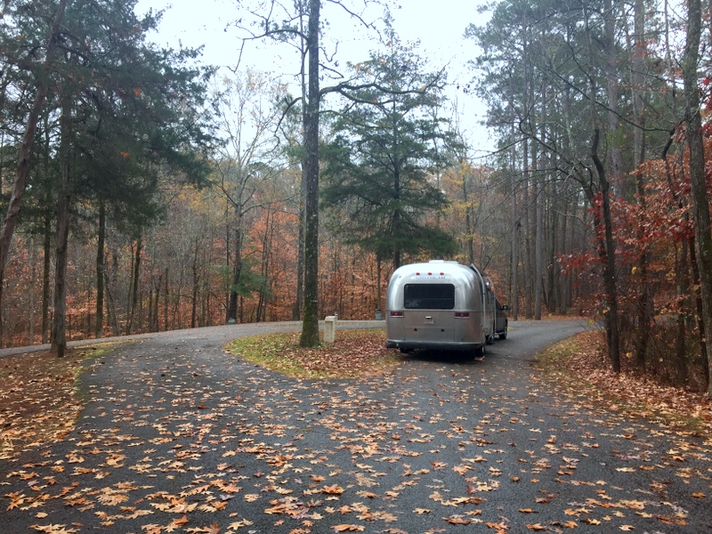 a silver airstream trailer is parked on a road surrounded by trees and fallen leaves