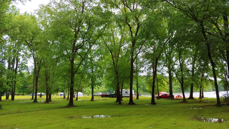 a campground with several cars and trailers parked amidst trees and greenery