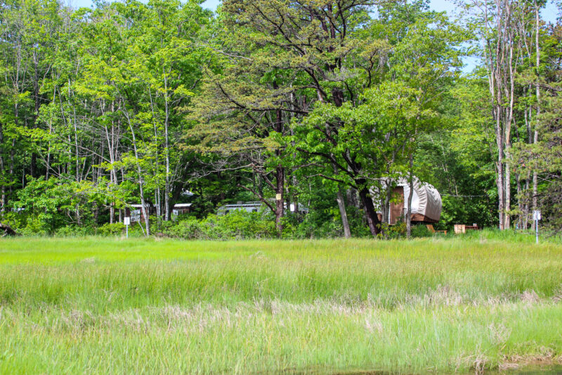 View of Conestoga wagon from the marsh