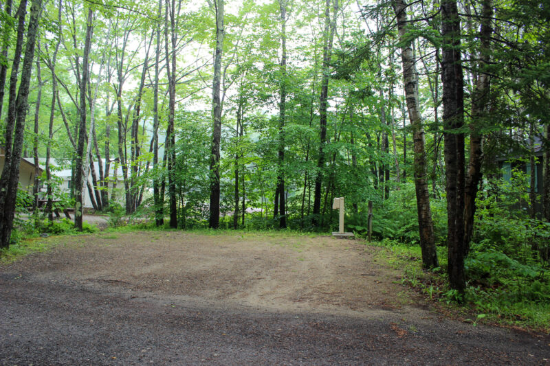 Empty RV site at wooded campground