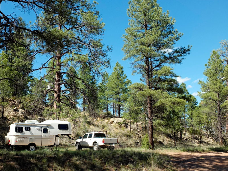 a white pickup truck and an rv are parked at a wooded campsite