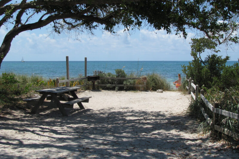 a sandy beach campground with picnic tables near the water