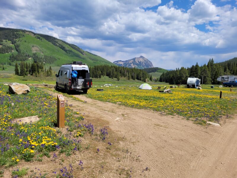 a van parked at a campsite surrounded by greenery and yellow wildflowers