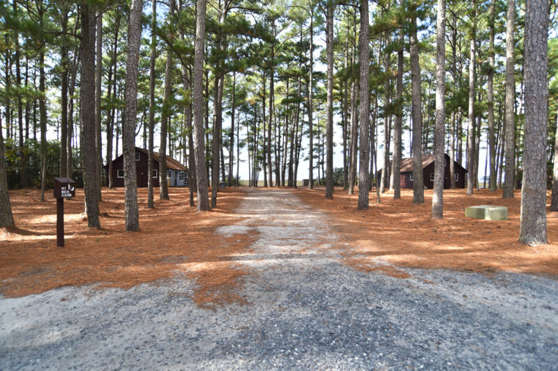 cabins set in the woods along a gravel path