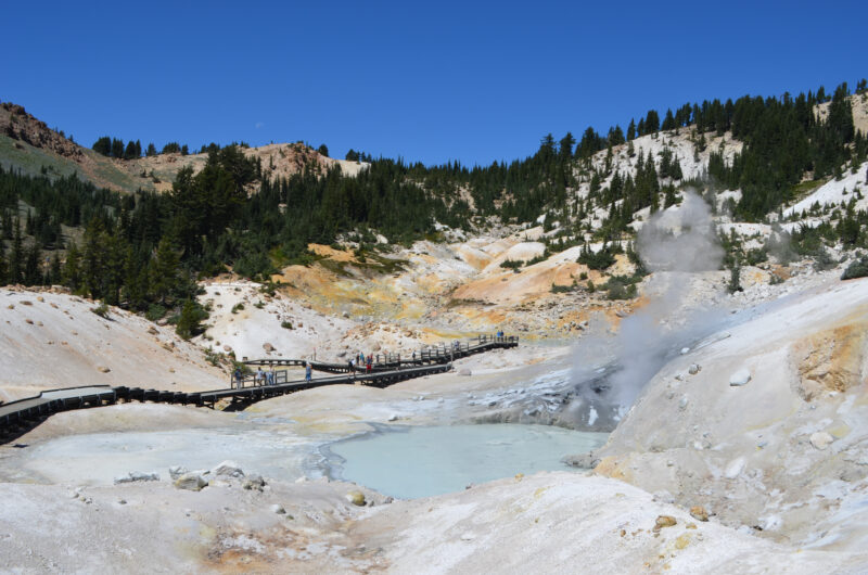 a geothermal spring with steam surrounded by pine trees under a clear blue sky
