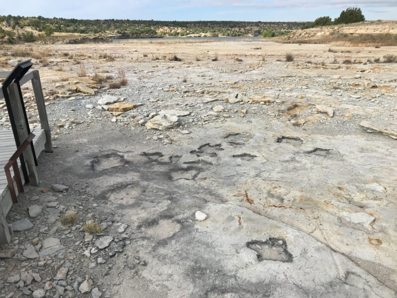 a rocky expanse with dinosaur tracks and a wooden walkway