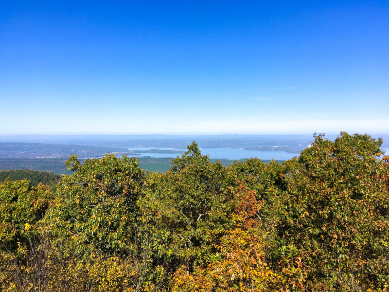 a scenic view of trees and water from a mountain top under a clear blue sky