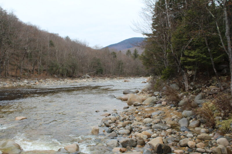 A rocky river leads the way into an untamed wilderness/