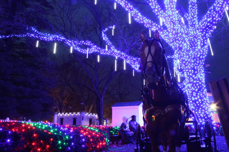 Twinkling light displays illuminate a statue of a horse-drawn buggy.