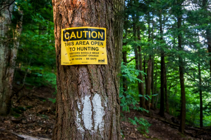 A sign is posted to a tree in a wooded area that reads "Caution: This area open to hunting. Visitors should wear fluorescent orange. Be seen. Be safe."