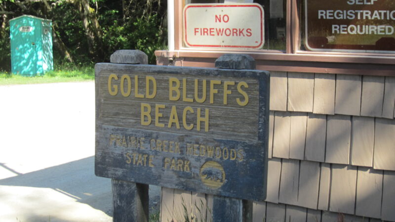 A wooden sign reads "Gold Bluffs Beach"