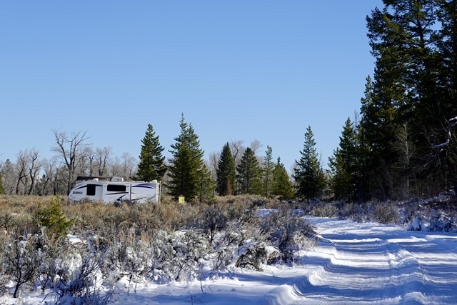 A thick blanket of snow covers an off-the-beaten-path campsite located in a densely forested area.