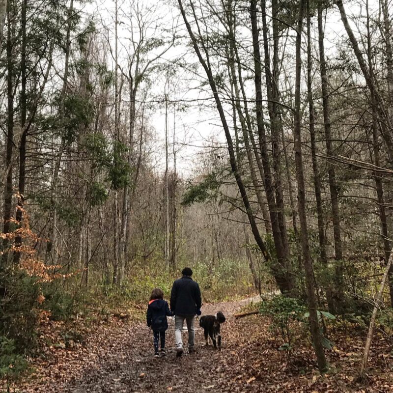 A family with a dog is seen walking along a wintertime path through the woods.