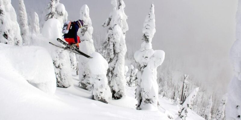 A skier launches airborne while tackling a snow-covered hillside dotted with towering snow-white trees.