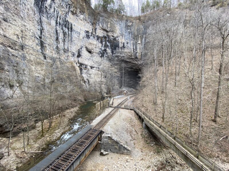 Railroad tracks lead the way into a darkened tunnel.