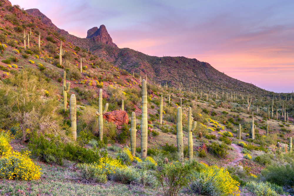 Video: Guide to Arizona State Parks