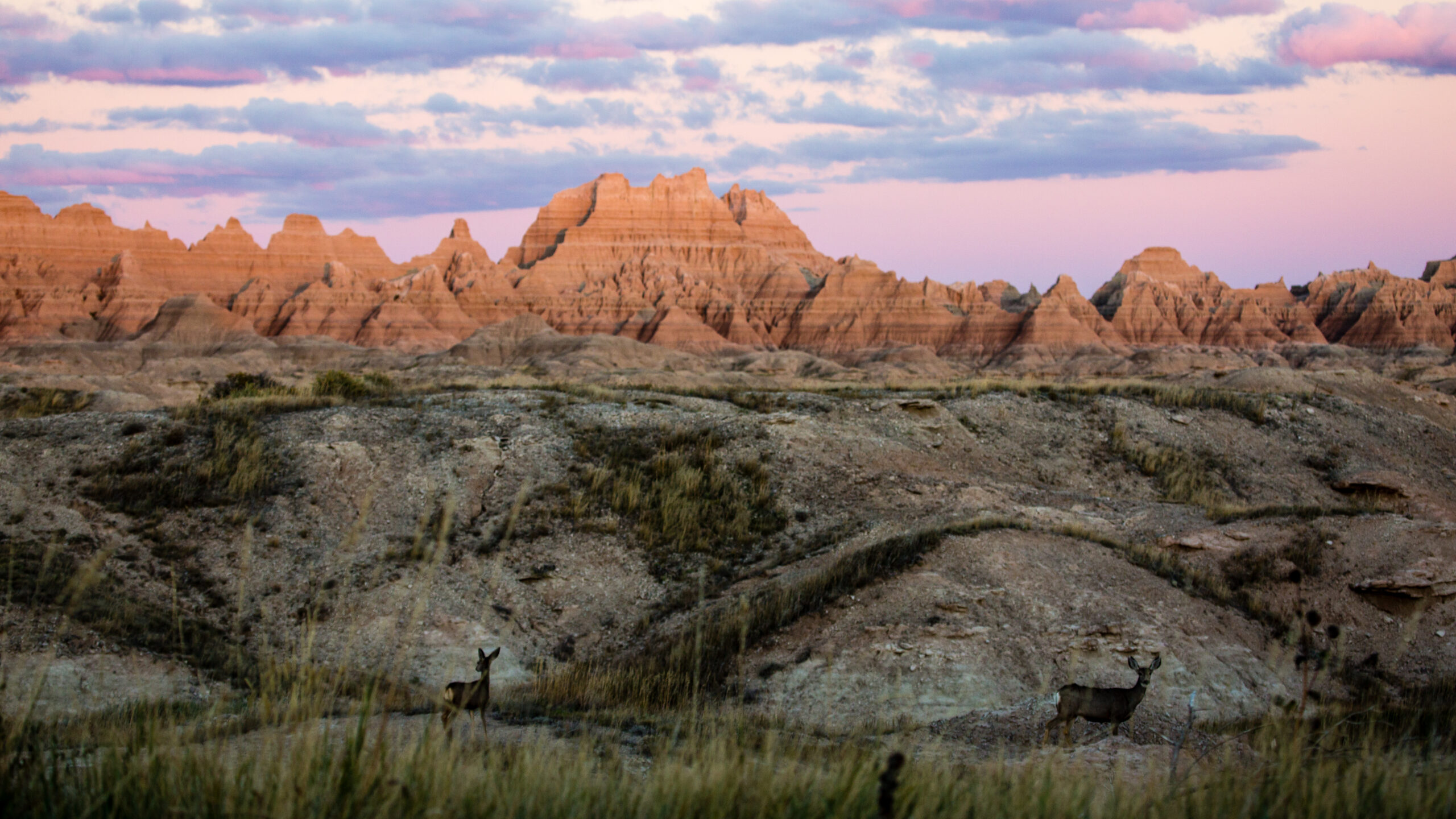 South Dakota's Badlands National Park offers a surreal landscape dotted with unusual rock formations