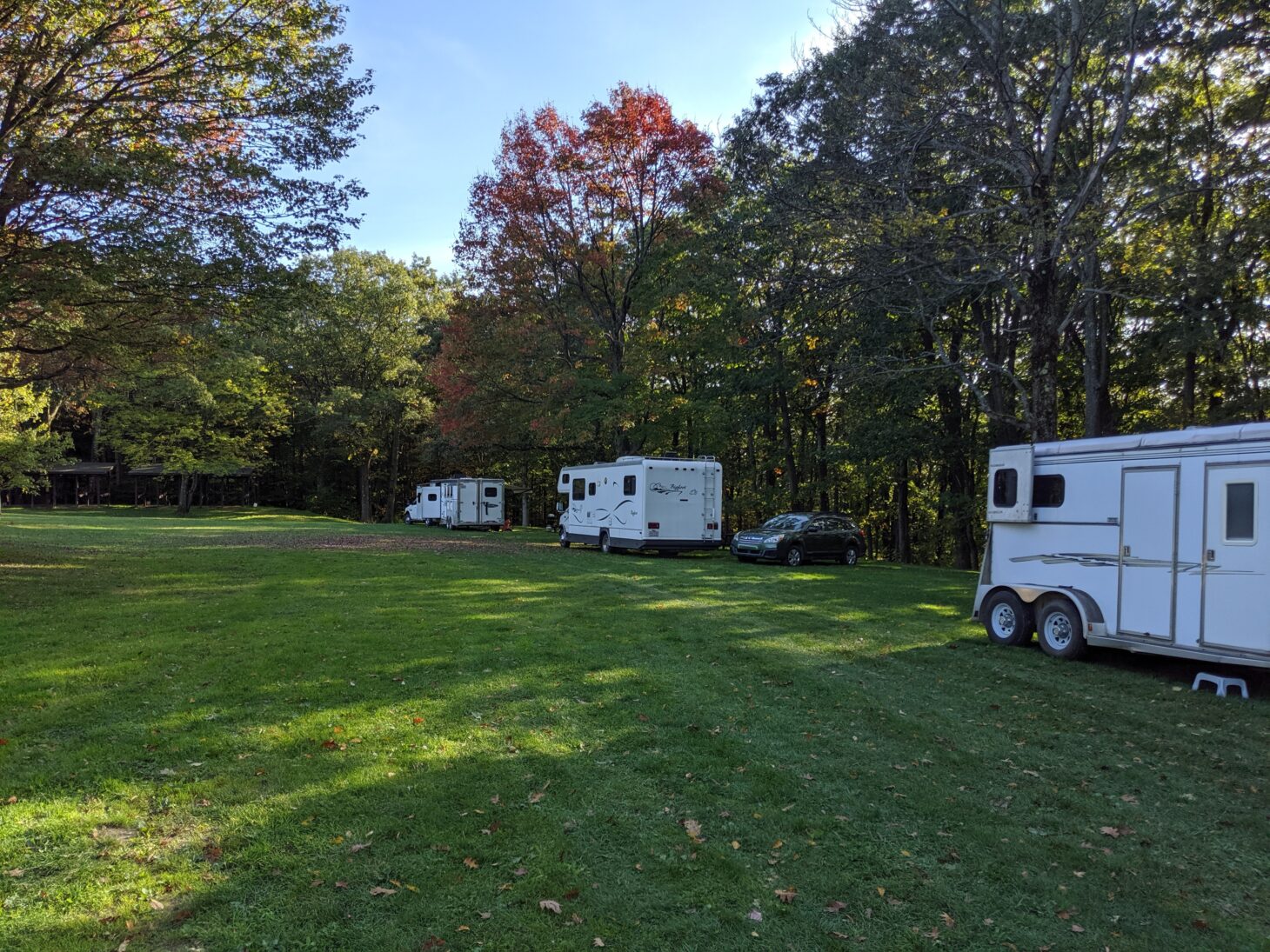 A row of RVs stands at the edge of a wooded area