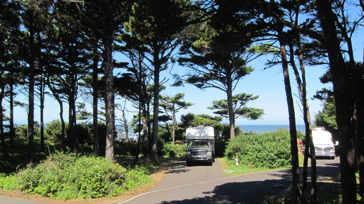 An RV parked between several towering trees with a large body of water in the distance