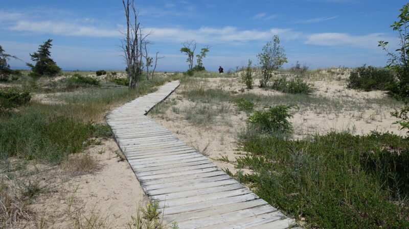 Wood walkway winding through sand dunes