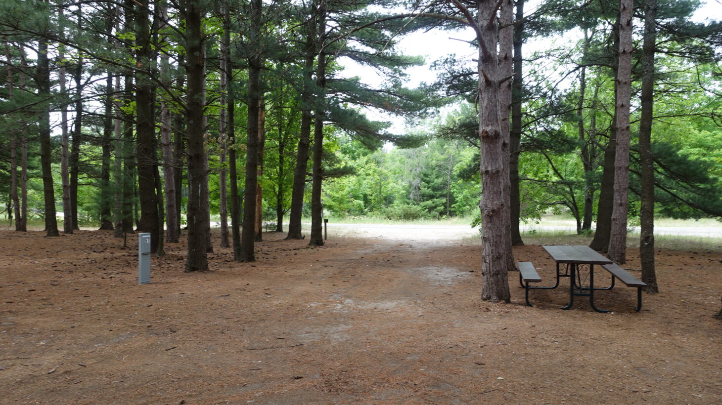 Shaded, wooded area with a picnic table for camping
