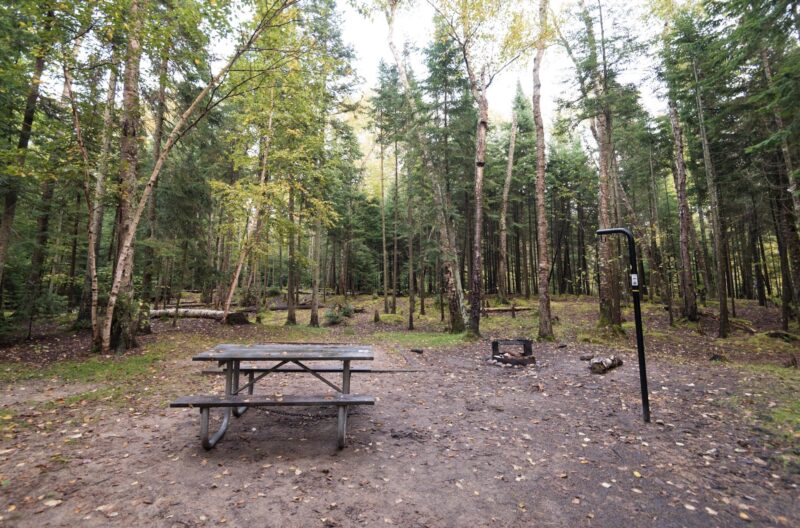 Open campsite in a wooded area with a picnic table