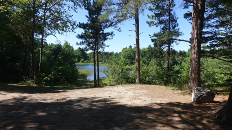 Open campsite in a forested area with a lake in the distance