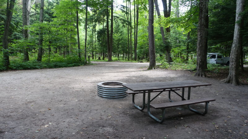 Open campsite in a wooded area with a picnic table and fire ring