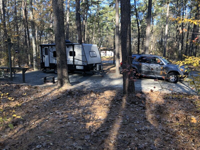 Travel trailer and SUV parked at a wooded campsite surrounded by trees