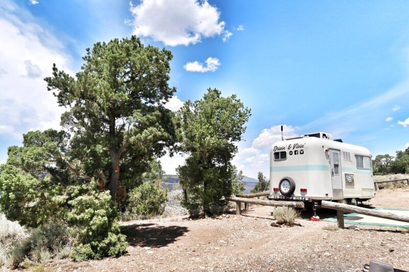 A small travel trailer RV backs up to uniquely shaped trees in the desert