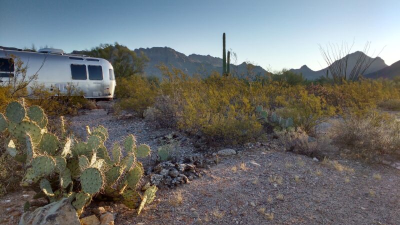 A silver Airstream trailer stands parked at a campground filled with cacti