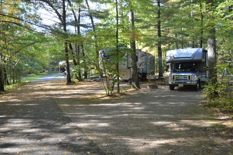 A row of RVs parked in a wooded campground