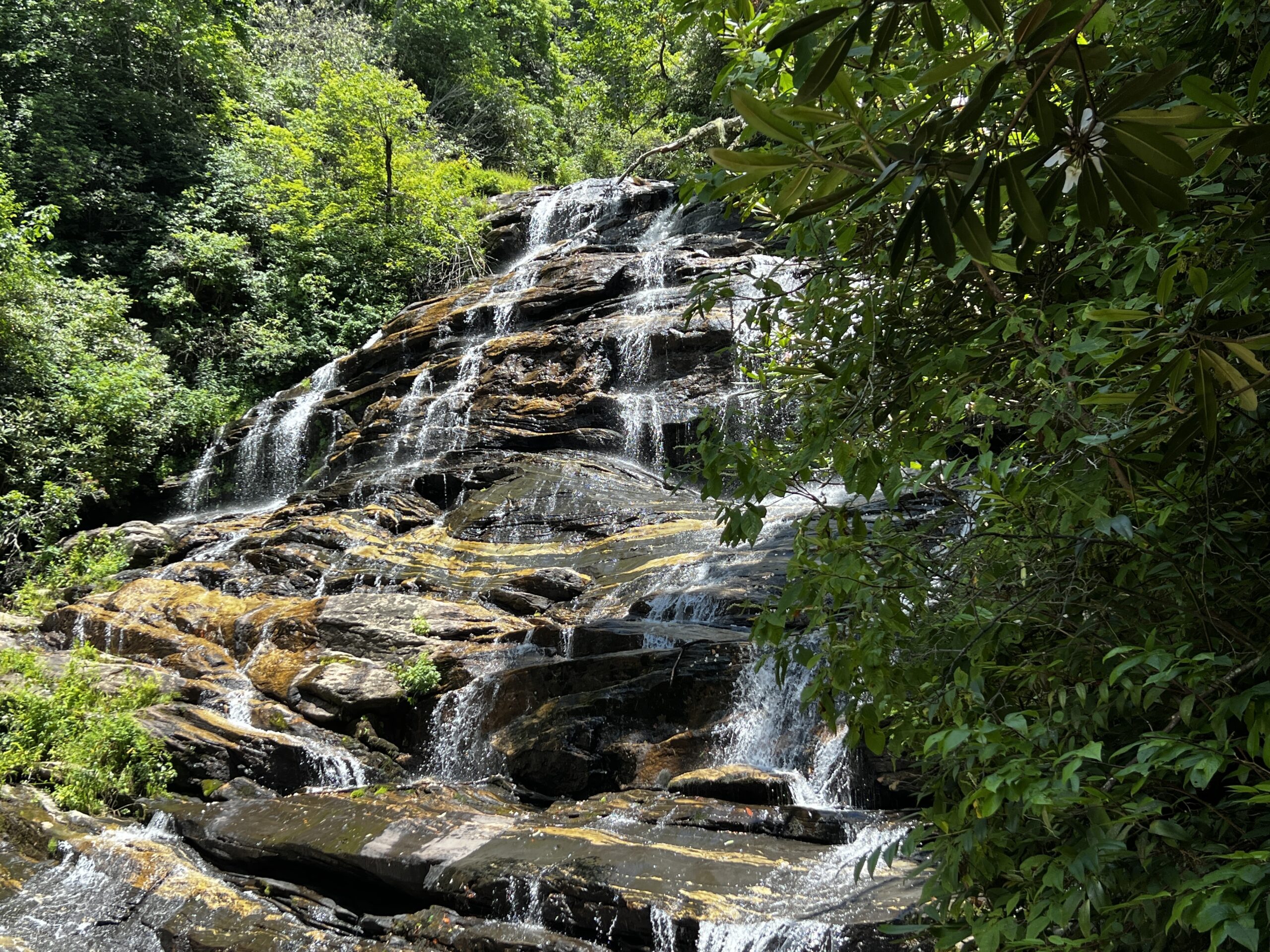 a waterfall cascades down rocks surrounded by green trees